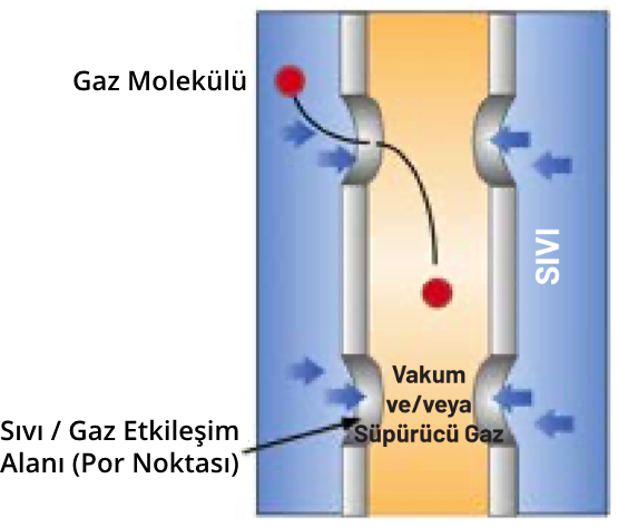 Membran Kontaktörleri